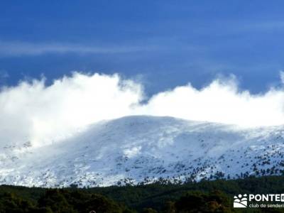 Valsaín - La Chorranca; el pinsapar grazalema viajes de fin de semana españa escapada en navidad